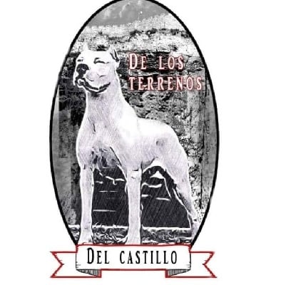 De Los Terrenos Del Castillo