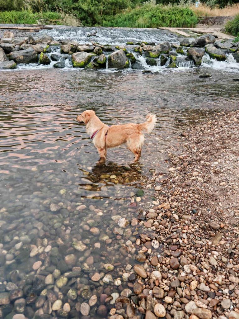 V'lilas Du Val D'Isao