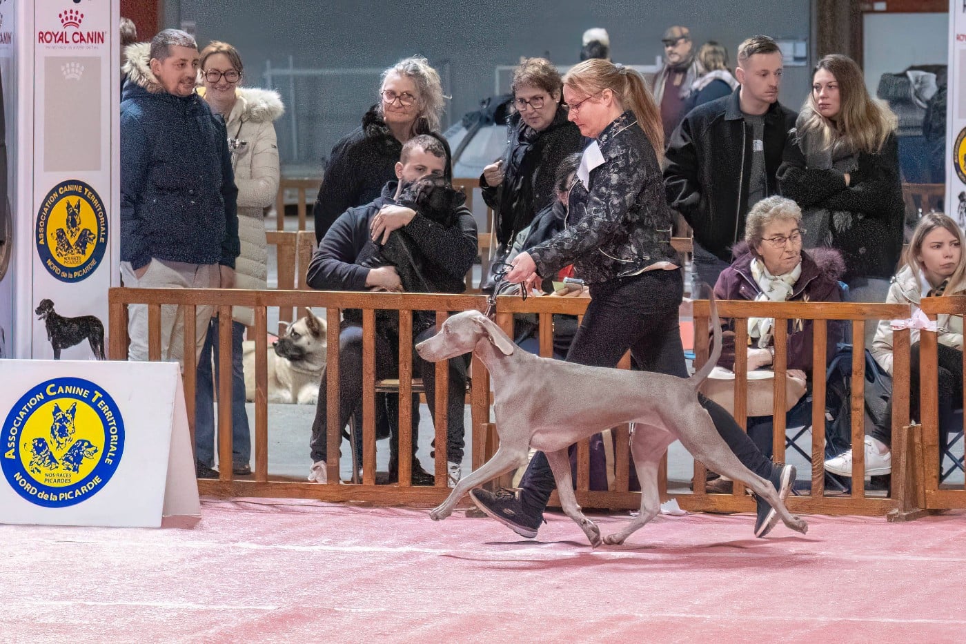 Shiny Silver Moonlight All we need is love