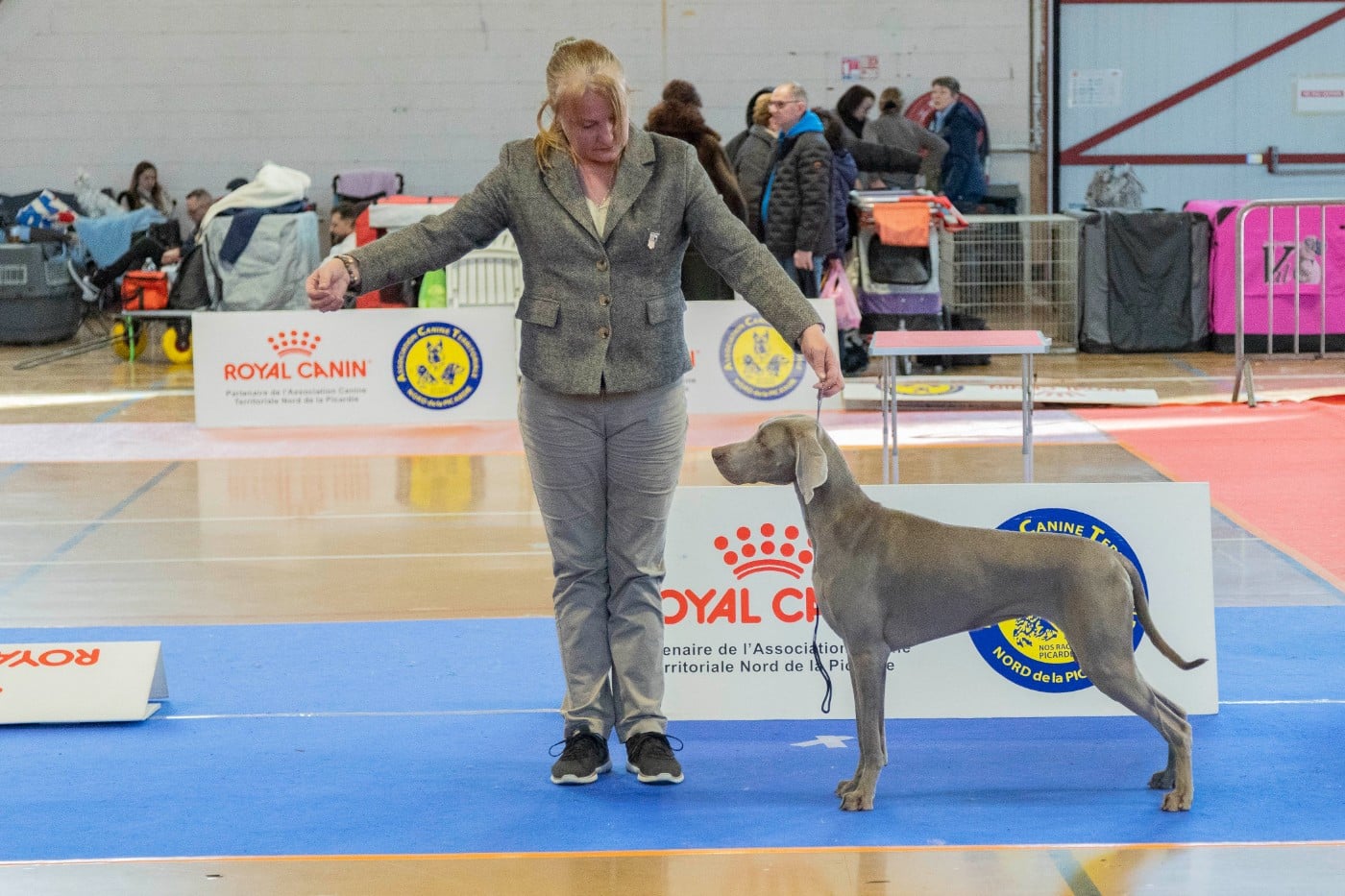 Shiny Silver Moonlight All we need is love