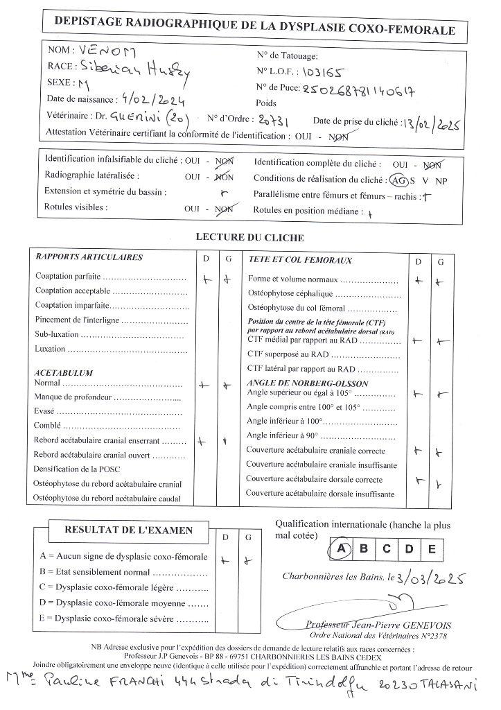 Venom Des Legendes Du Triskel