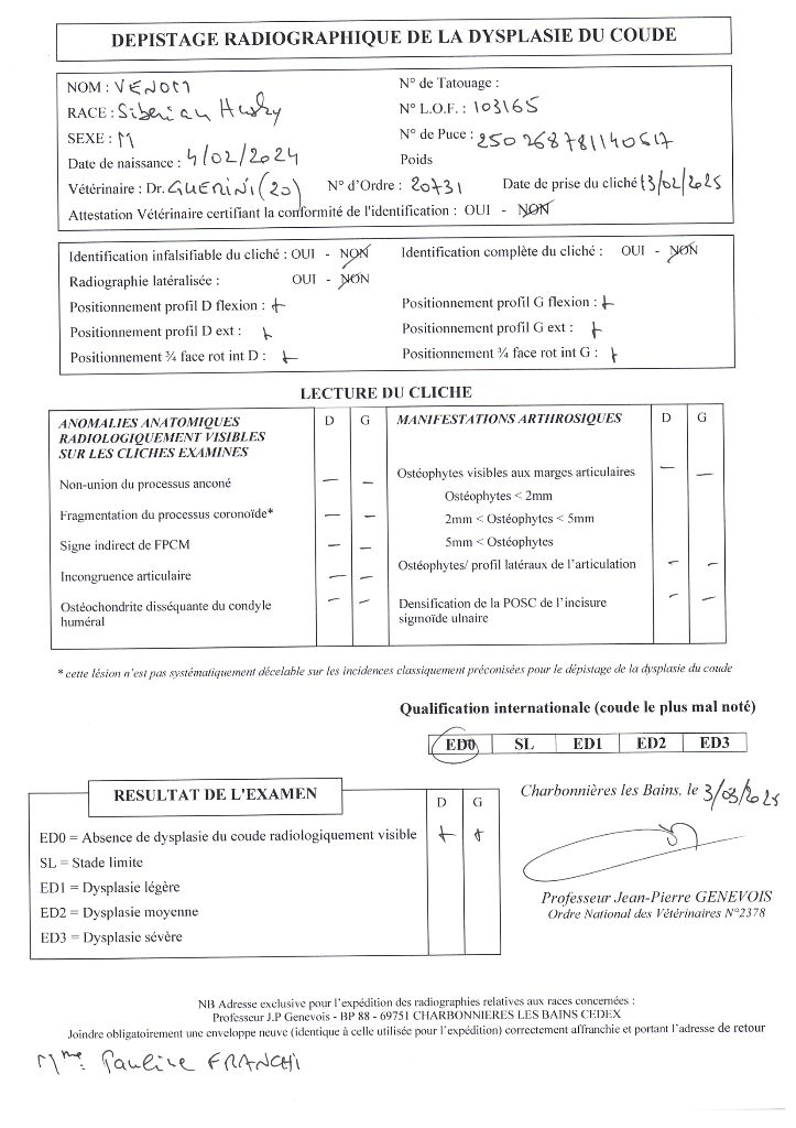 Venom Des Legendes Du Triskel