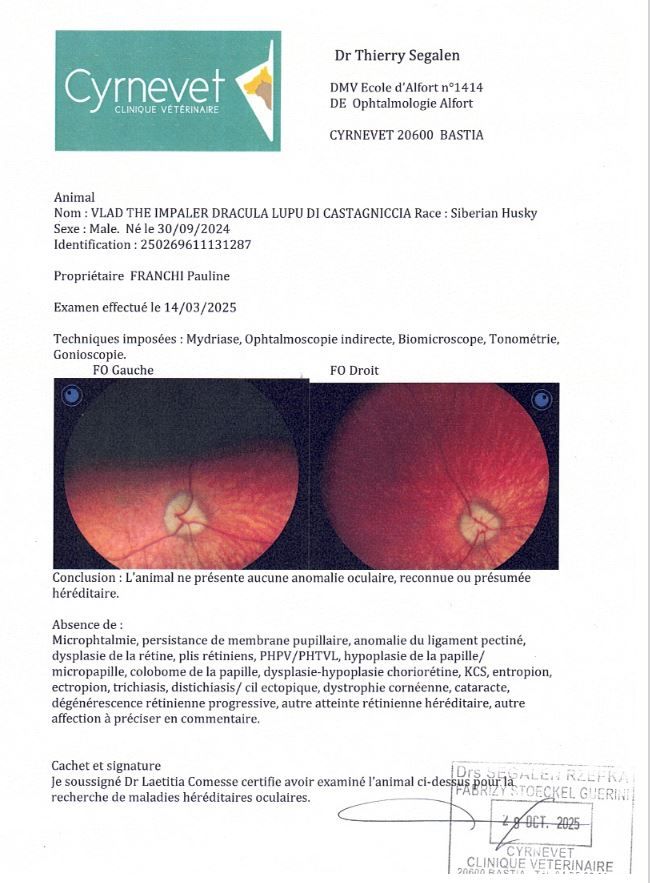 Vlad the impaler dracula Lupu Di Castagniccia