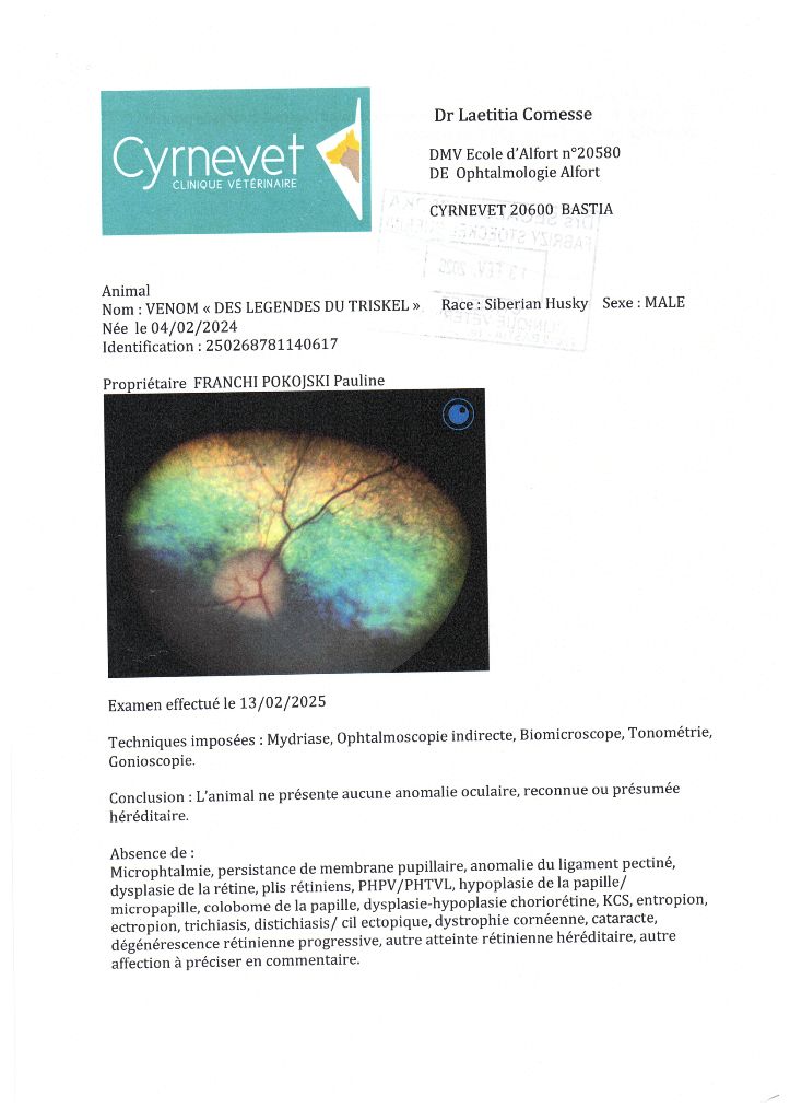 Venom Des Legendes Du Triskel