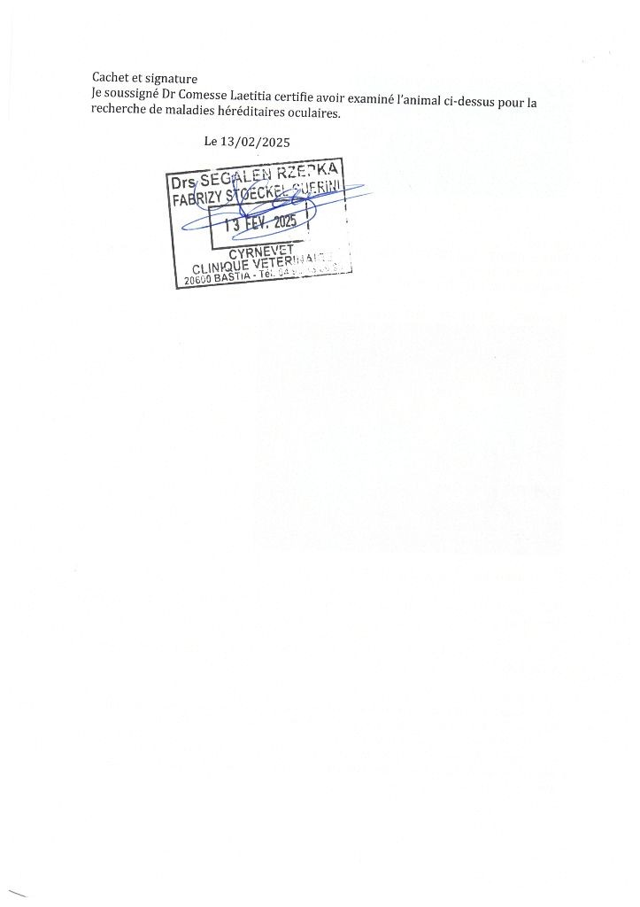 Venom Des Legendes Du Triskel