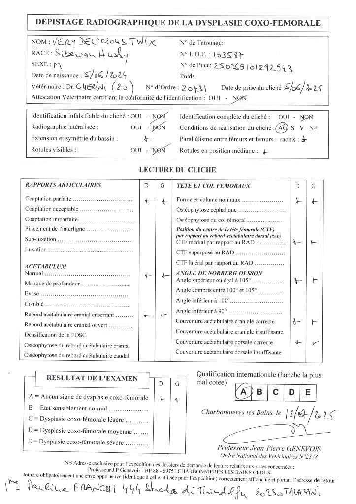 Very delicious twix (Sans Affixe)