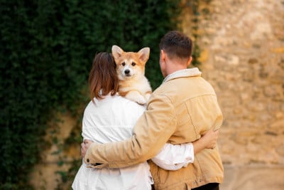 Starlight Royal Dream