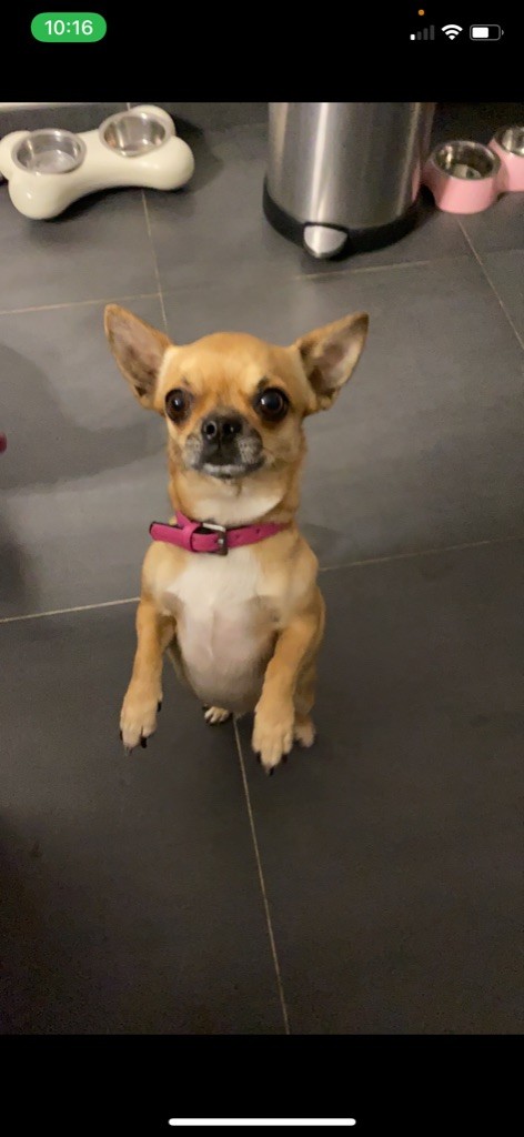 Publication : Des Minis Du Parmelan