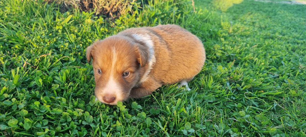 Achtung dit Yuki Ty Chou De Kérel