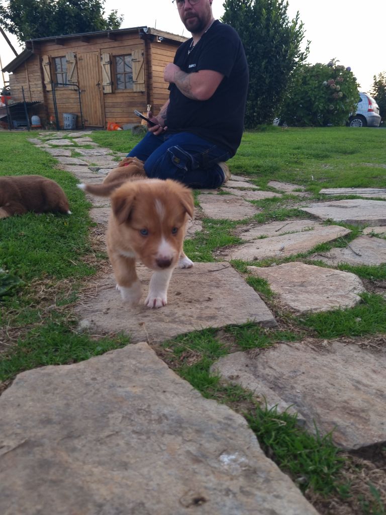 Arko Ty Chou De Kérel