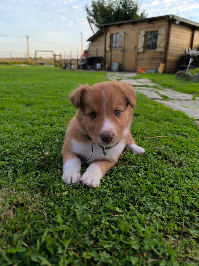 Achtung dit Yuki Ty Chou De Kérel