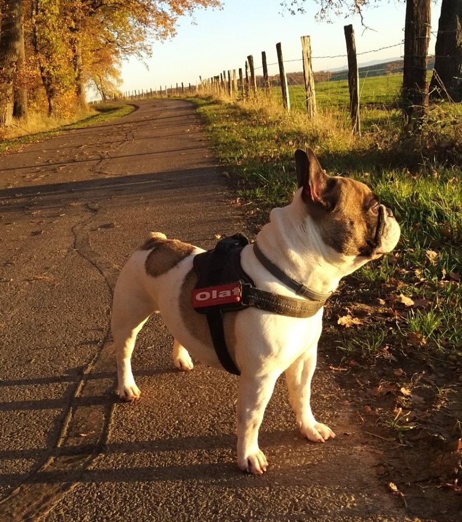 Publication : (Sans Affixe)