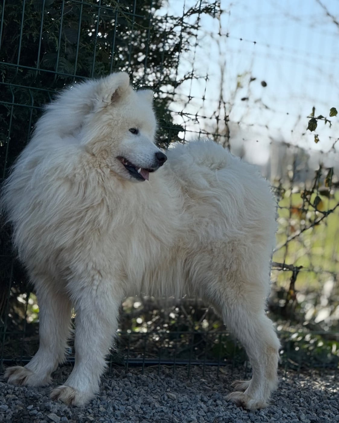 Publication : des Joyaux Des Ki Millacs