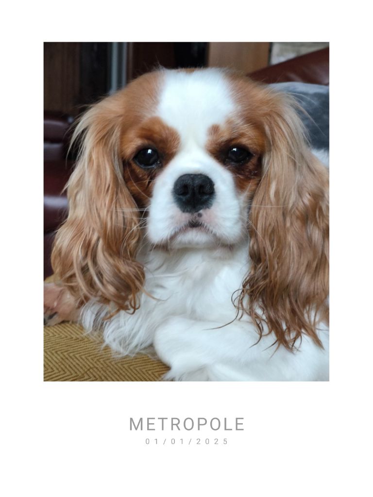 Tartine De La Vallée Du Montois