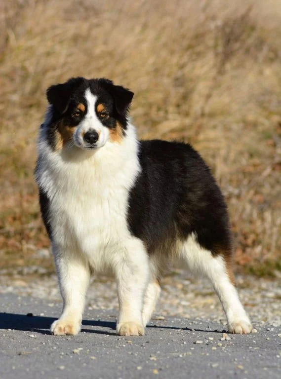 Publication : des Sources d'Émeraude