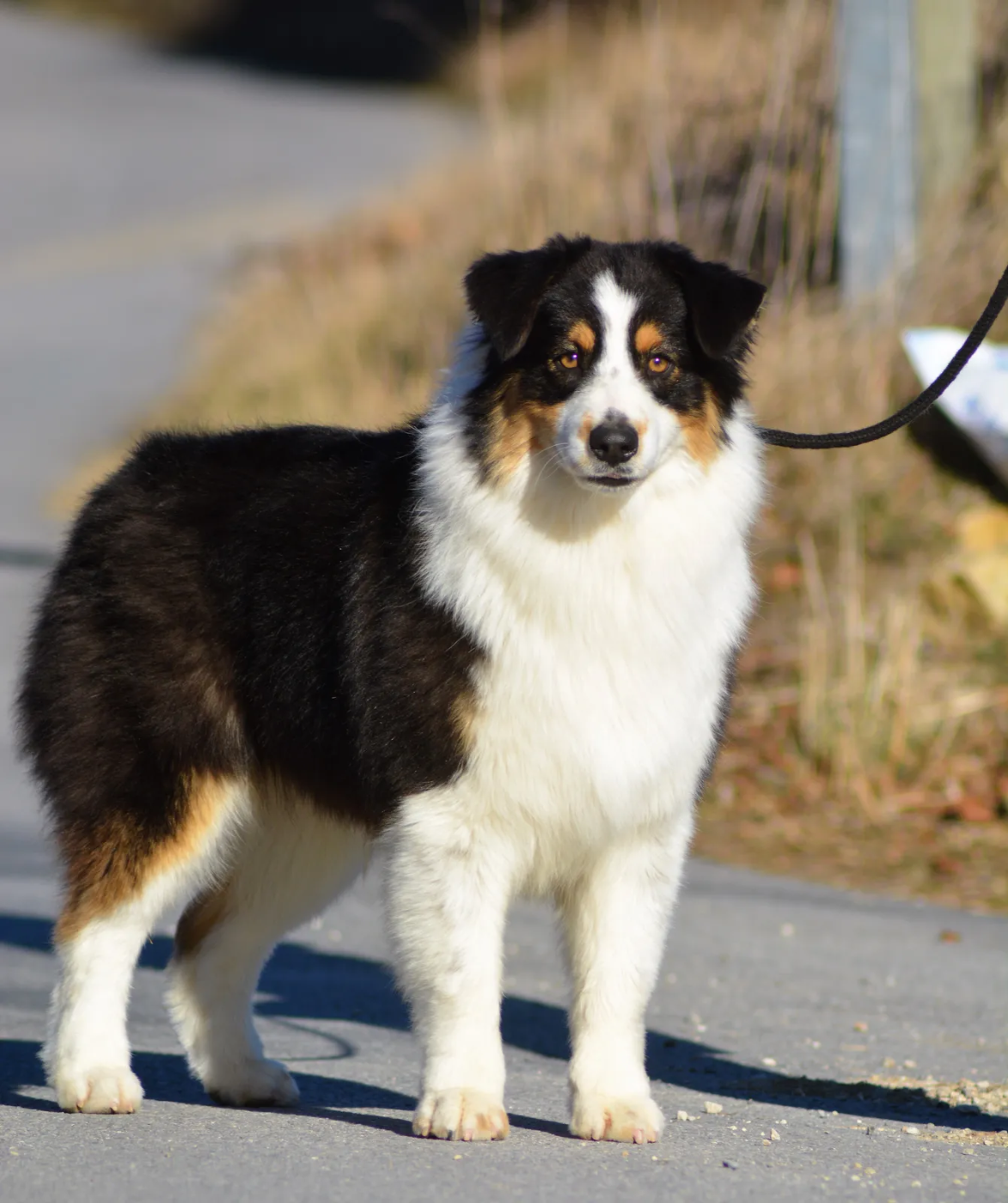 Publication : des Sources d'Émeraude