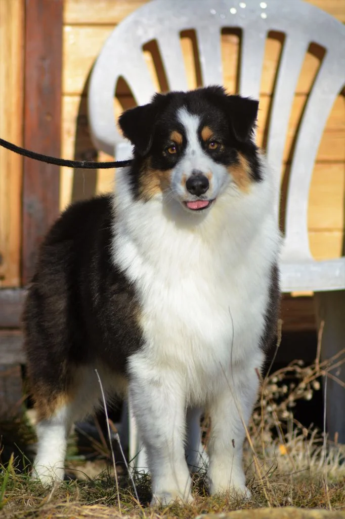 Publication : des Sources d'Émeraude