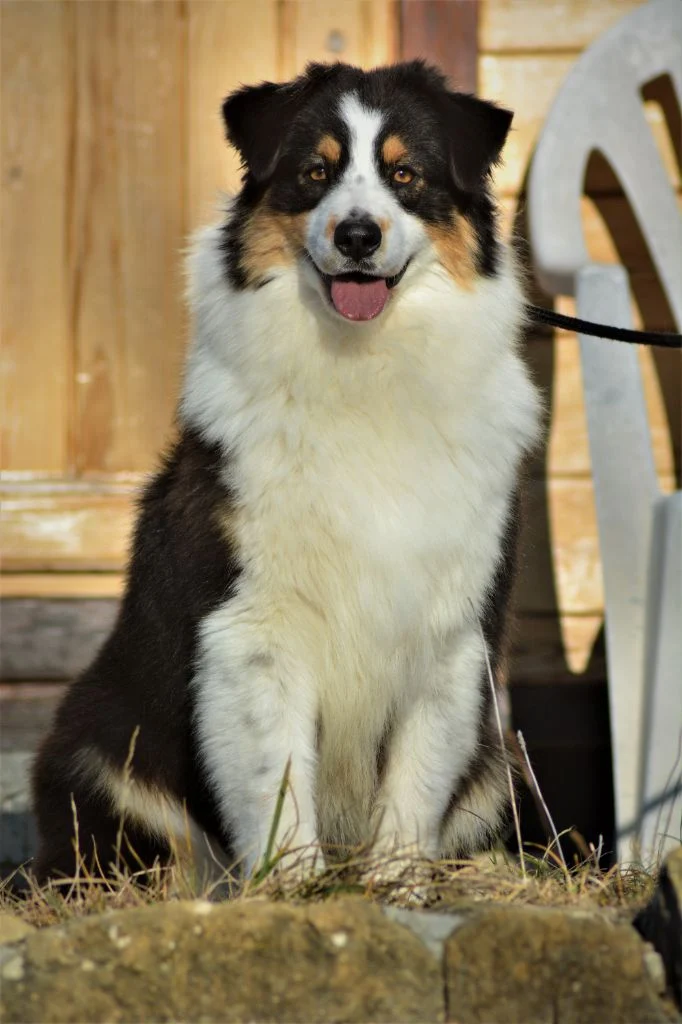 Publication : des Sources d'Émeraude