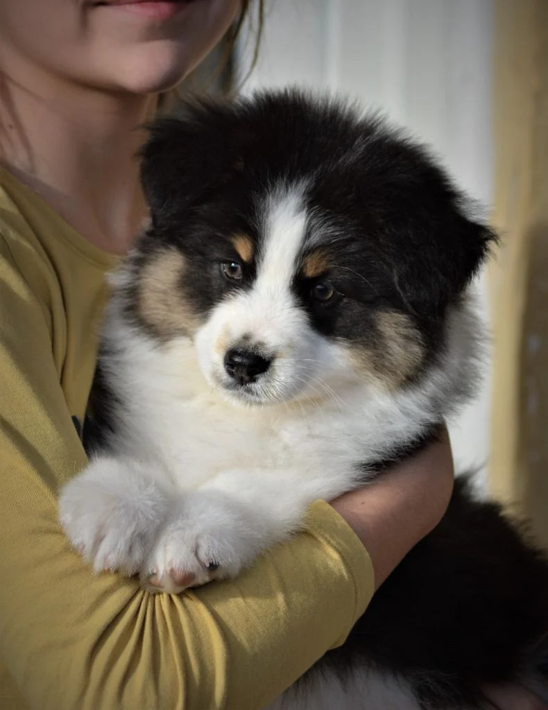 Publication : des Sources d'Émeraude