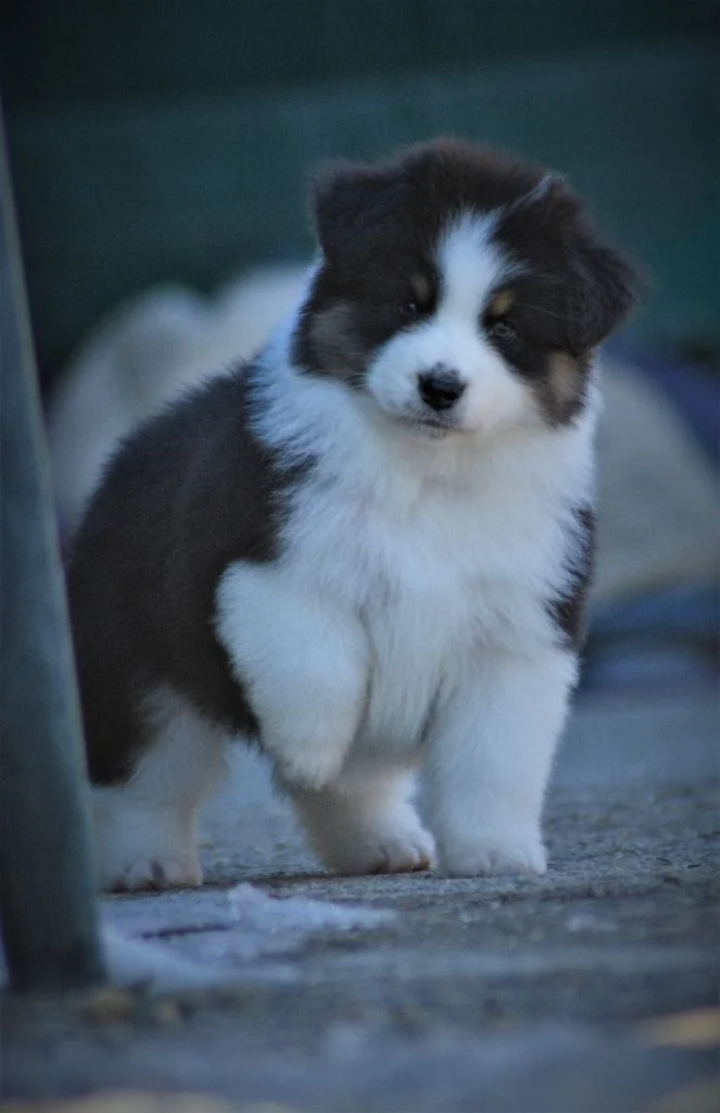 Publication : des Sources d'Émeraude