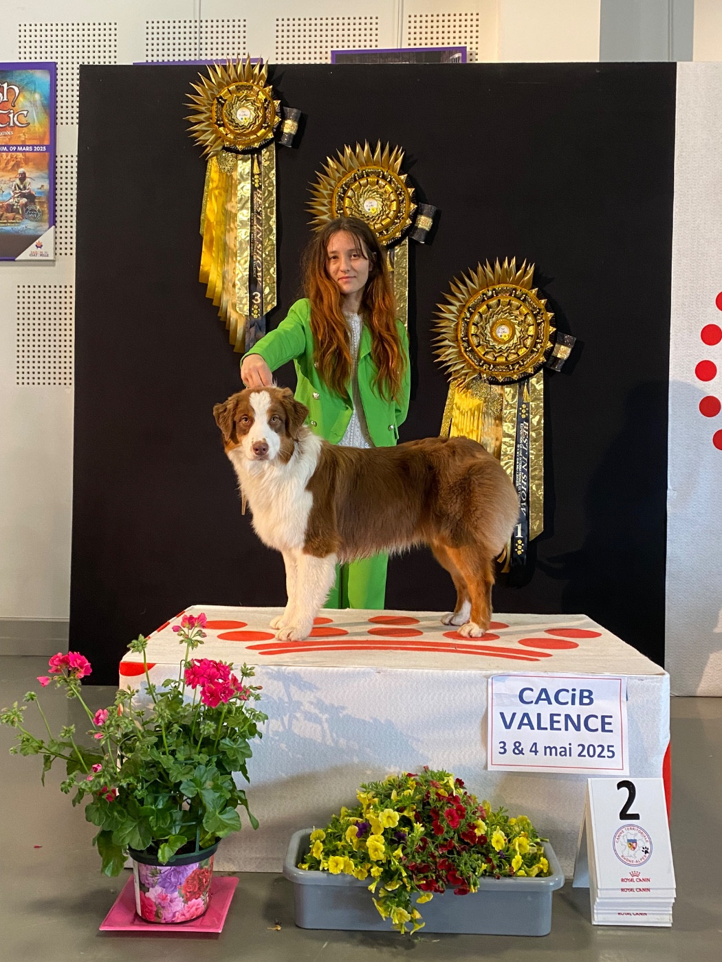 Publication : des Sources d'Émeraude