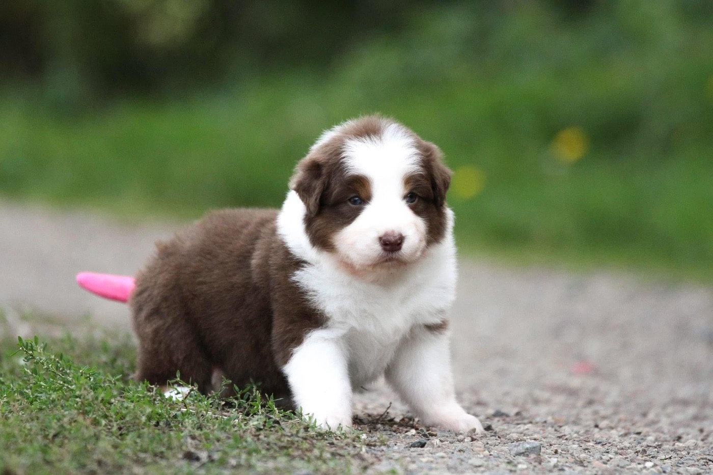 Publication : des Sources d'Émeraude