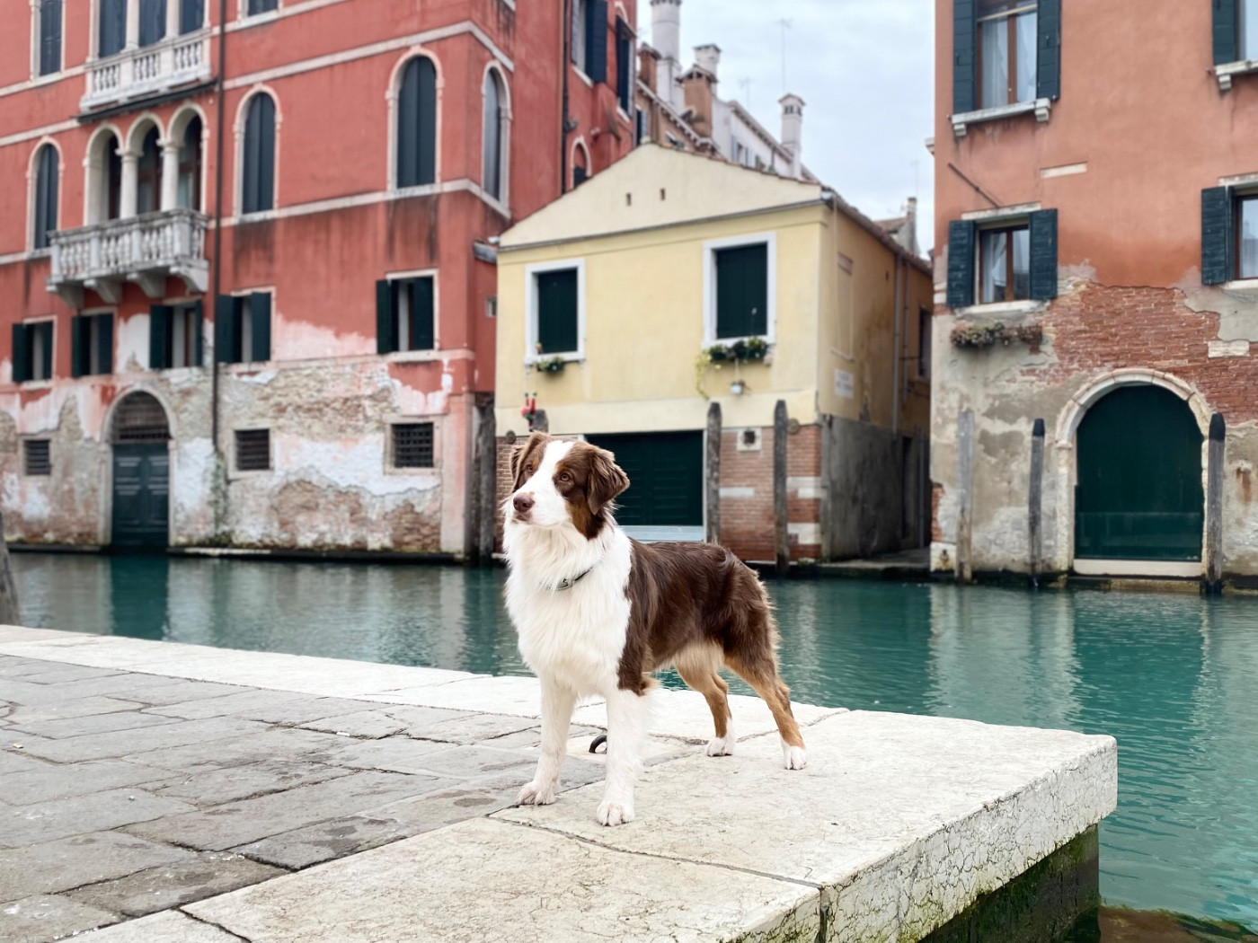 Publication : des Sources d'Émeraude