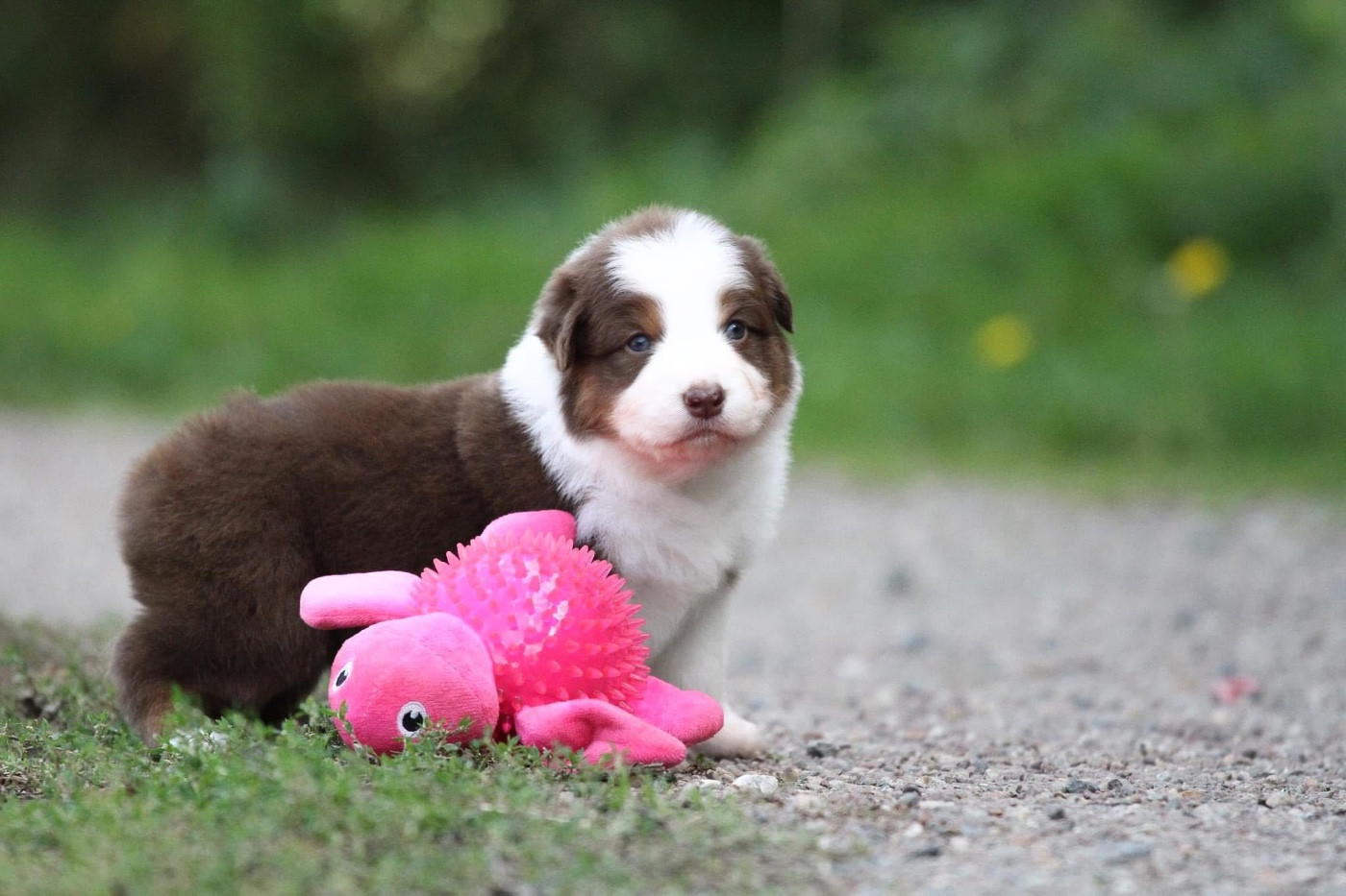 Publication : des Sources d'Émeraude