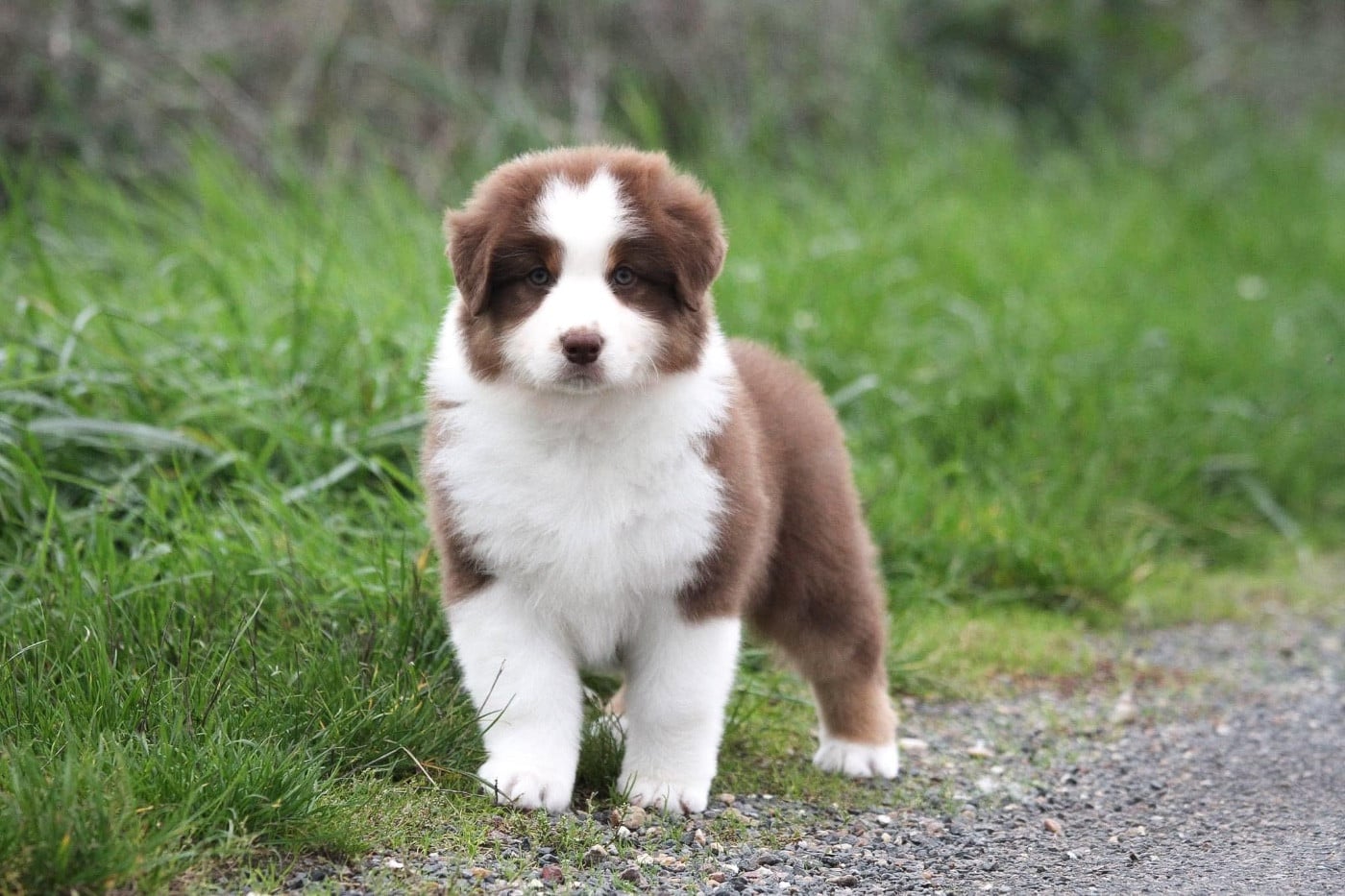 Publication : des Sources d'Émeraude