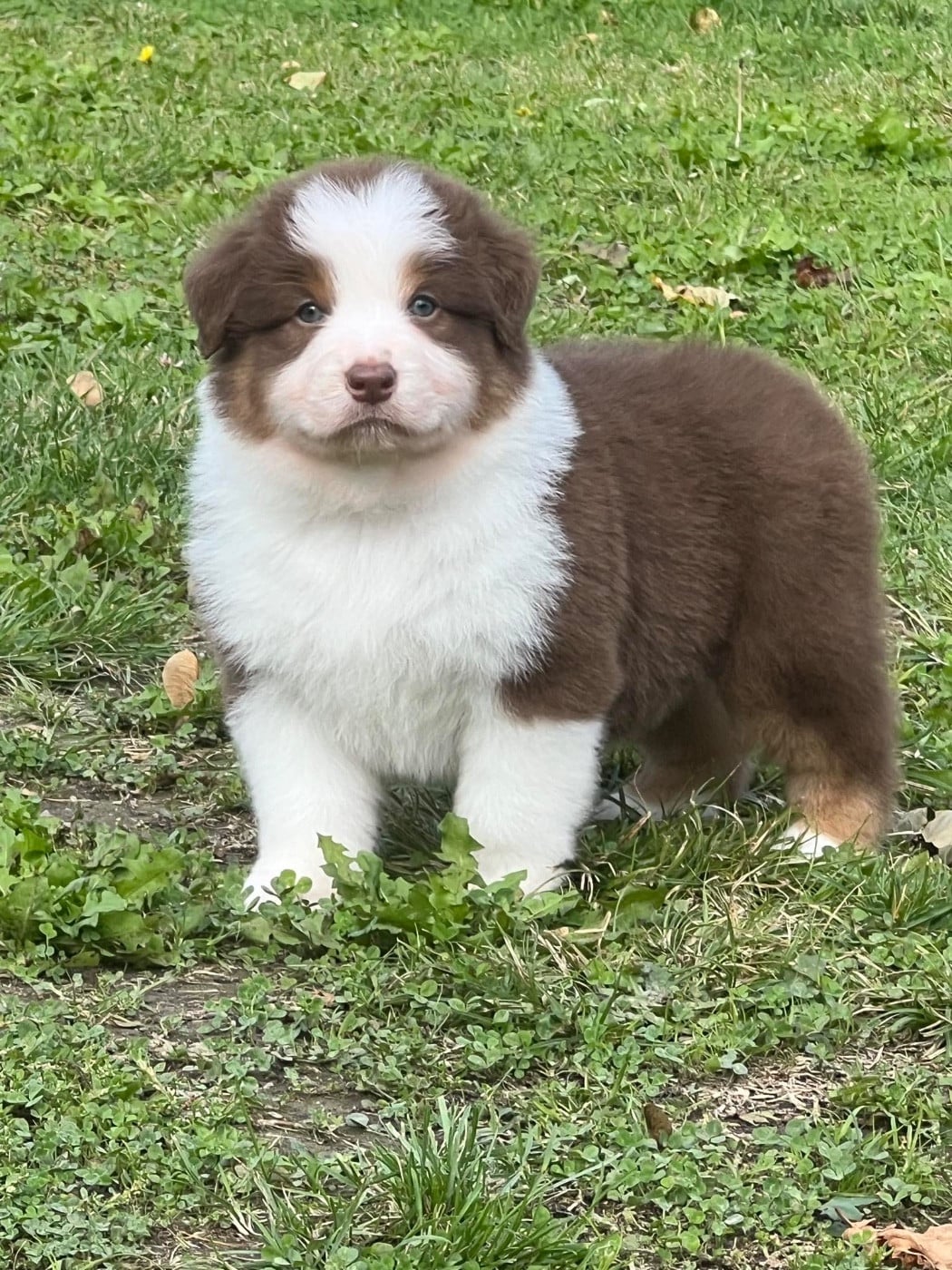 Publication : des Sources d'Émeraude