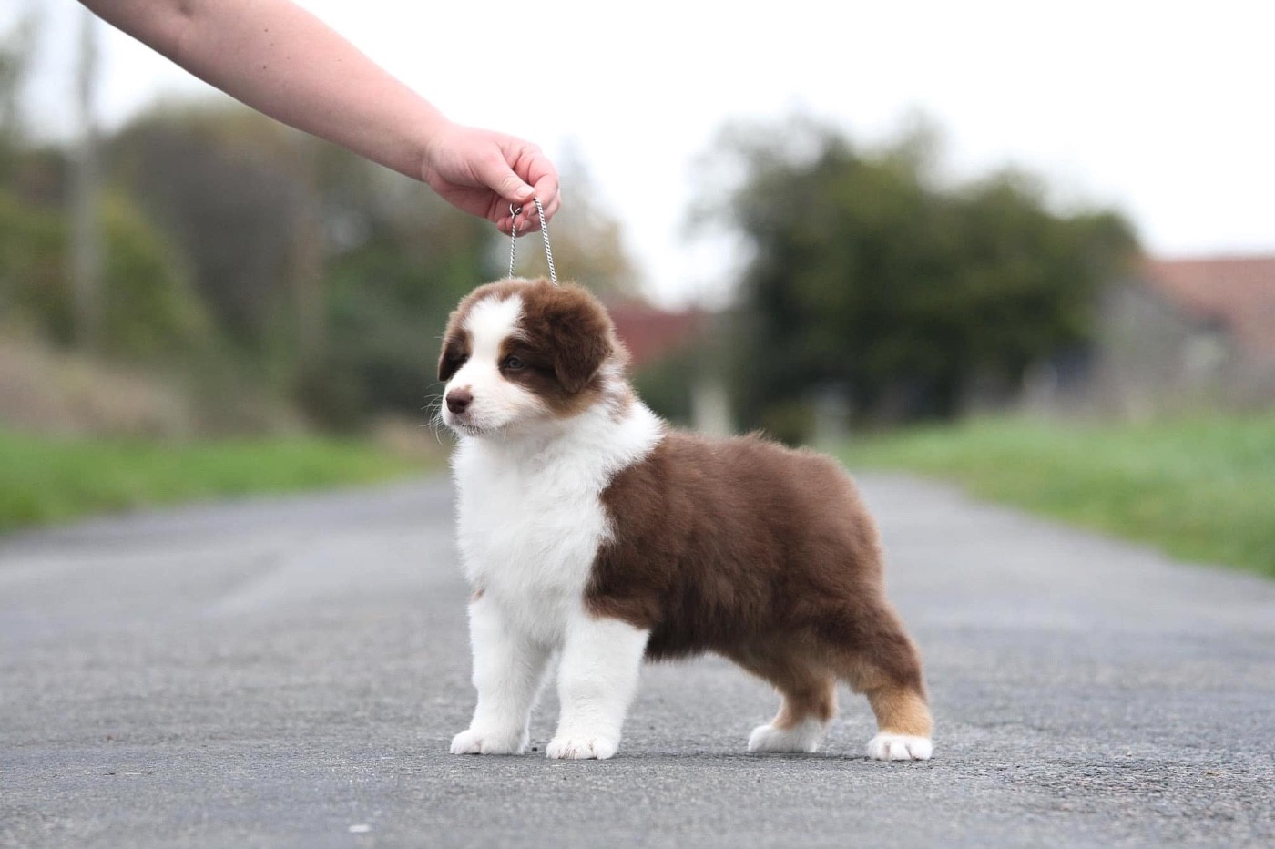 Publication : des Sources d'Émeraude