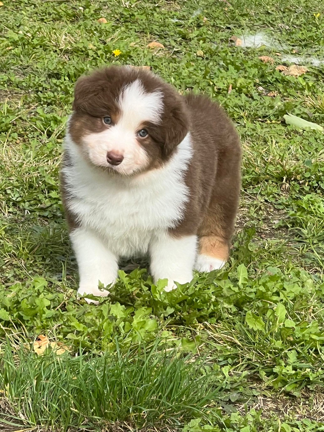 Publication : des Sources d'Émeraude