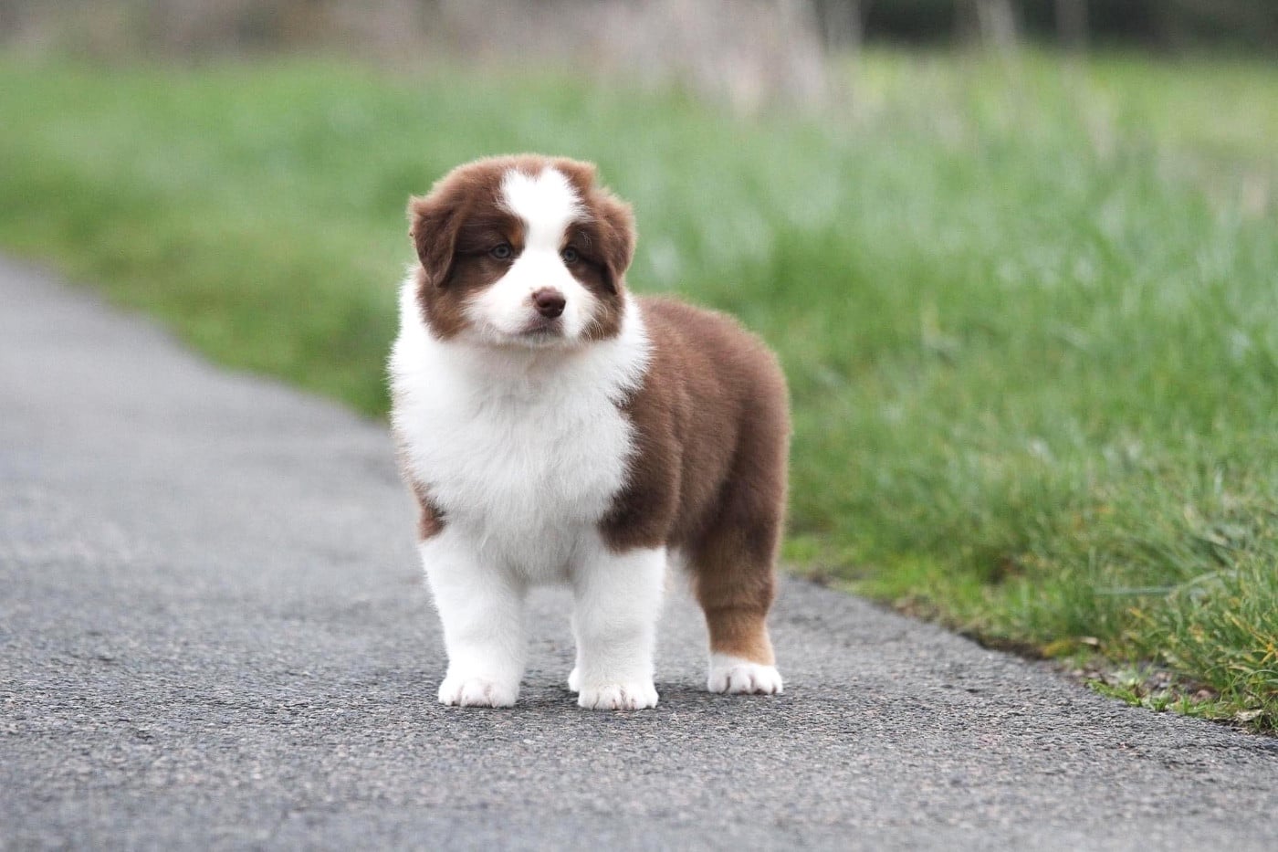 Publication : des Sources d'Émeraude