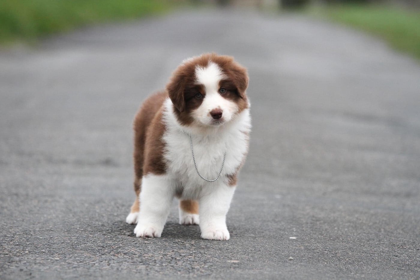 Publication : des Sources d'Émeraude