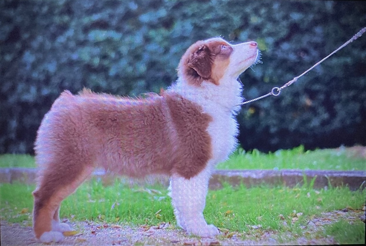 Publication : des Sources d'Émeraude