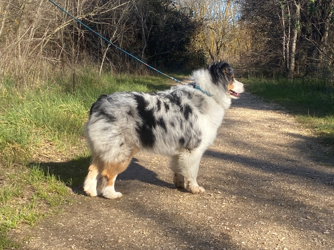 Aware at dystopia des Sources d'Émeraude