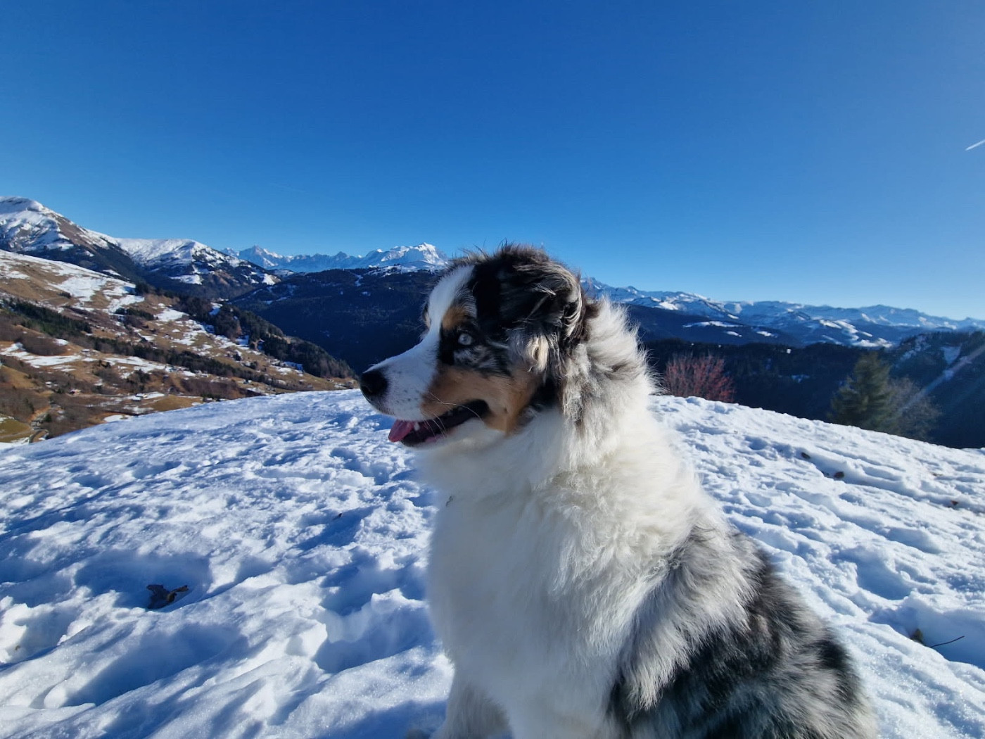 Aware at dystopia des Sources d'Émeraude