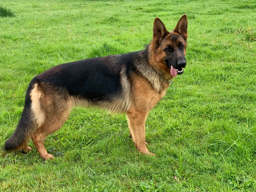 Vanquish du Vent de Traverse