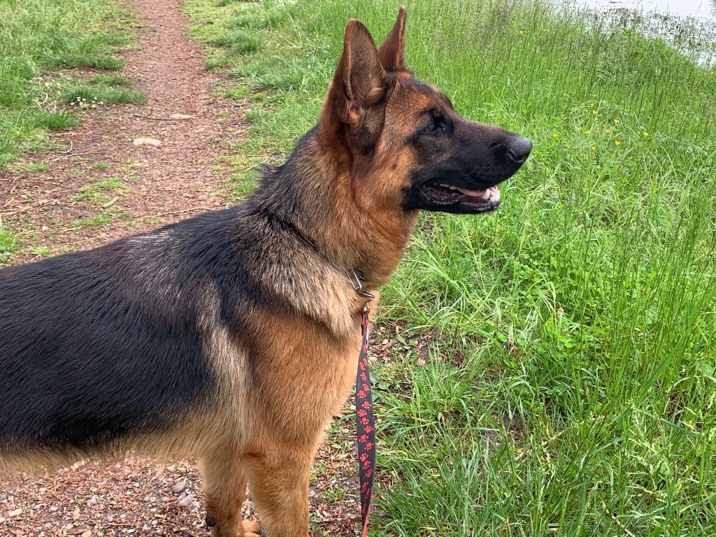 Vanquish du Vent de Traverse