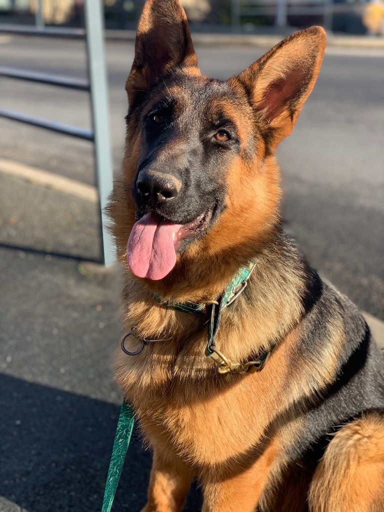 Vanquish du Vent de Traverse