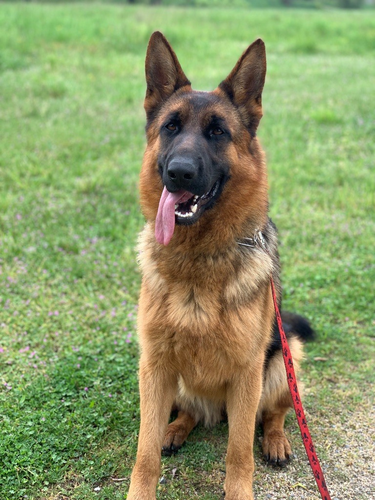 Vanquish du Vent de Traverse