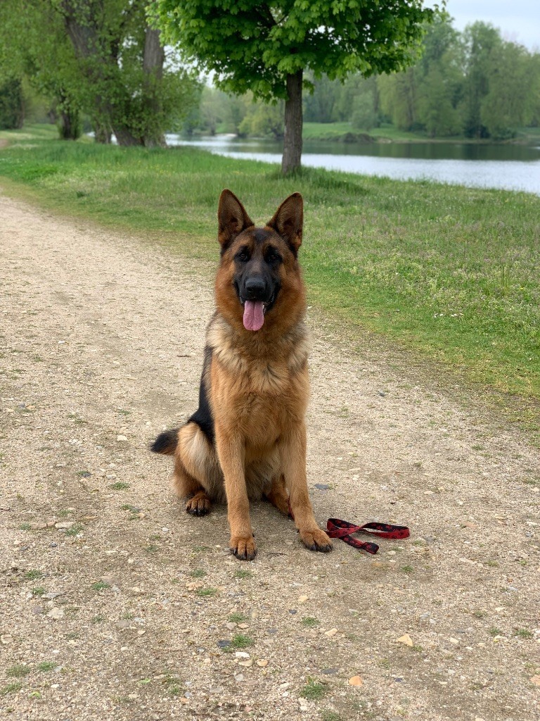 Vanquish du Vent de Traverse