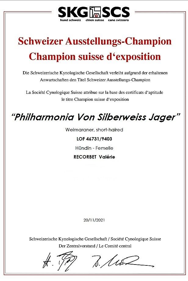 CH. Philharmonia von silberweiss jäger (Sans Affixe) - 1er EXC. / CAC / CACIB / BOS