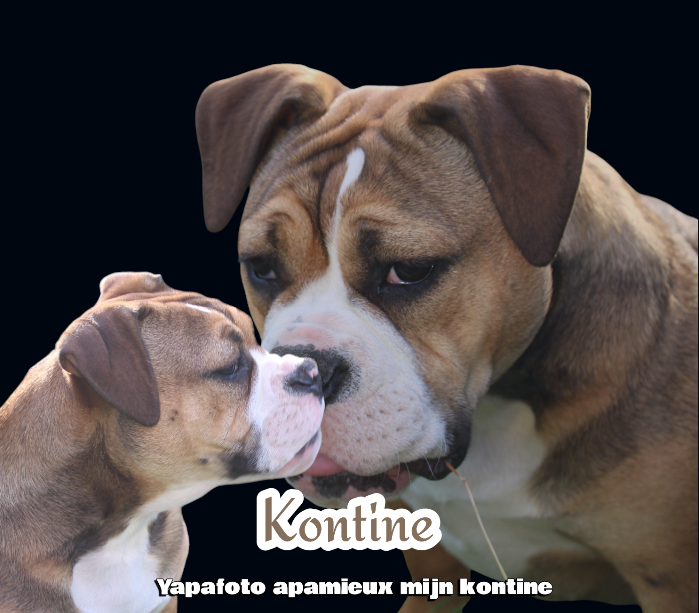 apamieux mijn kontine