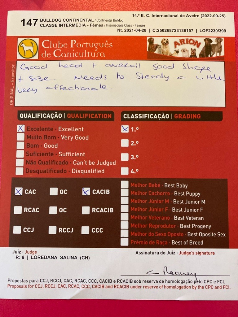 Yapafoto Sweet conti girl - 1 ex CAC