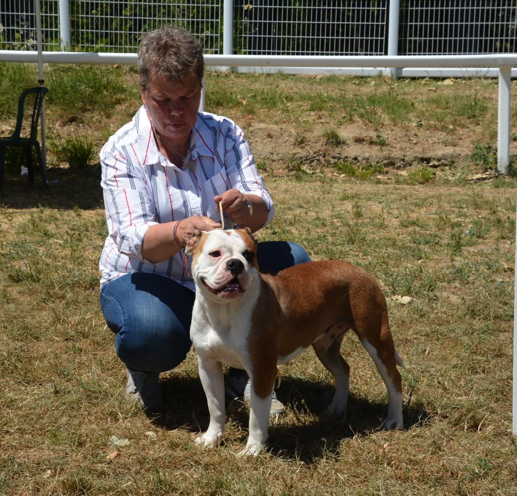 Yapafoto Sweet conti girl - 2 ex