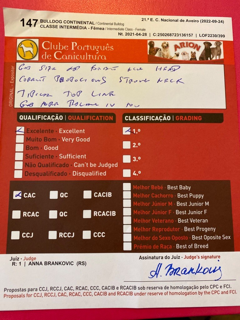 Yapafoto Sweet conti girl - 1 ex CAC