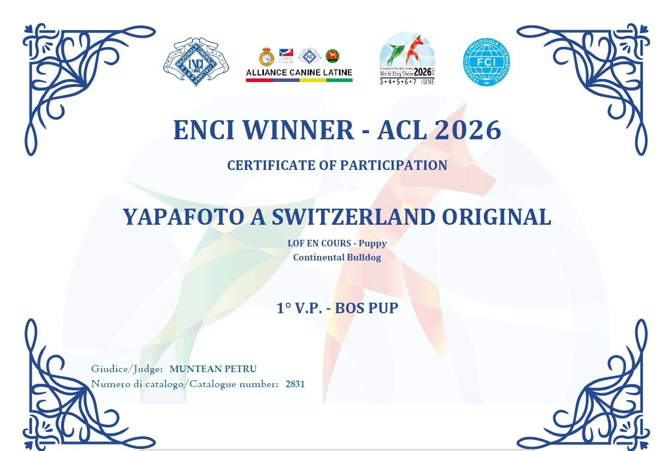 Yapafoto a switzerland original - 1 VP BOS Juniores