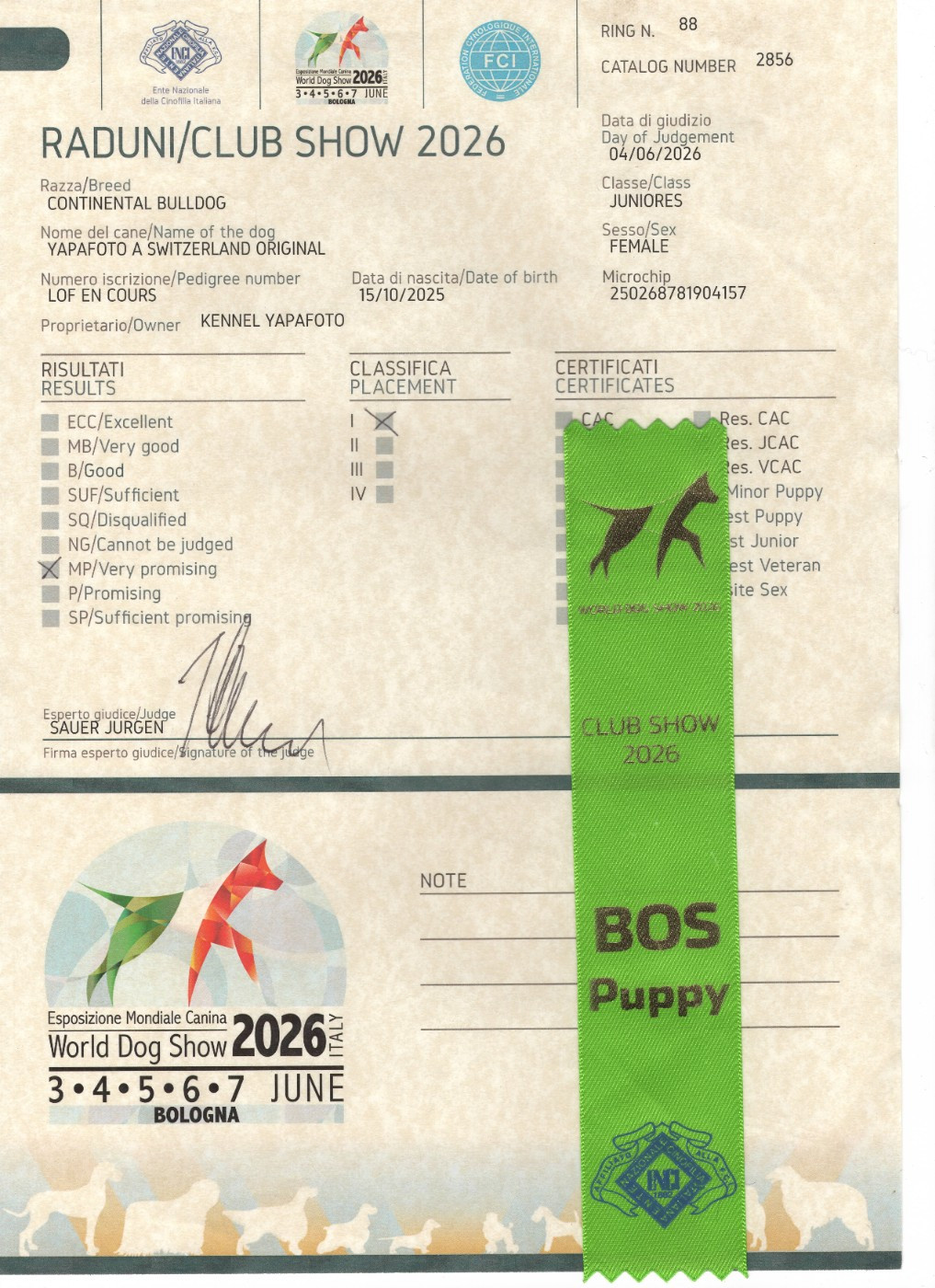 Yapafoto a switzerland original - 1 VP BOS Juniores