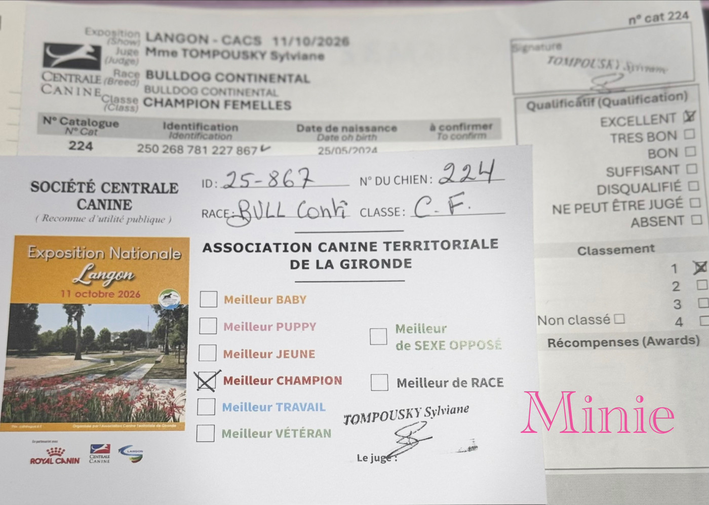 CH. Yapafoto Very switzerland original - 1 ex Meilleur champion